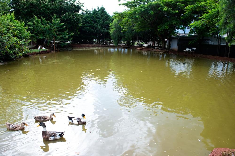 La Dolce Villa Avare Ngoại thất bức ảnh