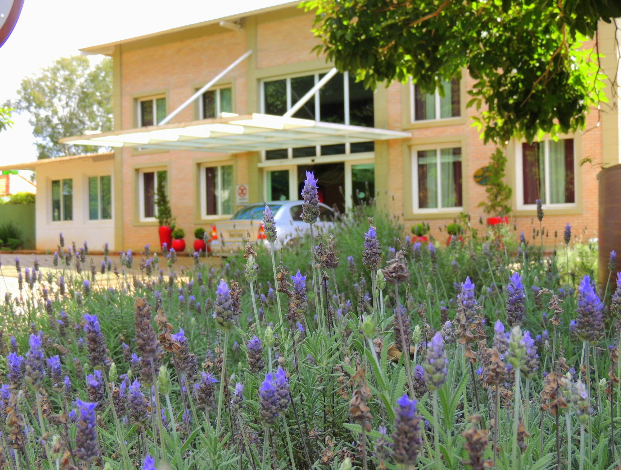La Dolce Villa Avare Ngoại thất bức ảnh